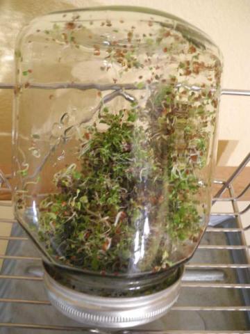 Dateiname: DSCN7014.JPG
Größe: 65,55 KB
15.04.12021, 14:04