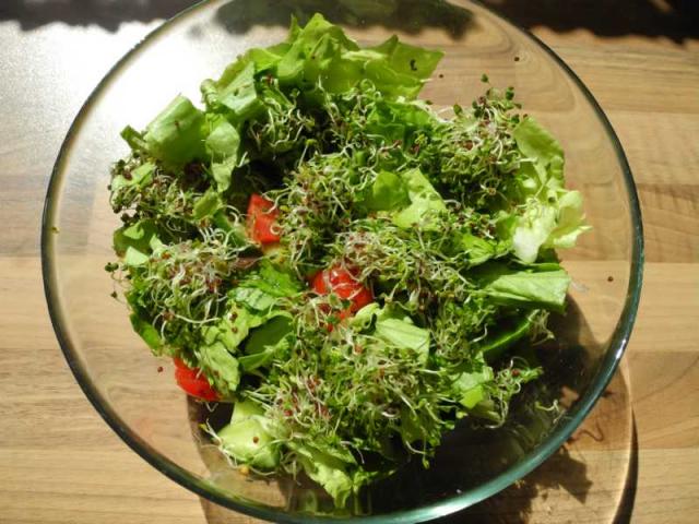 Dateiname: DSCN7025.JPG
Größe: 122,89 KB
15.04.12021, 14:04